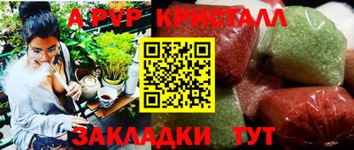 шишки Бузулук